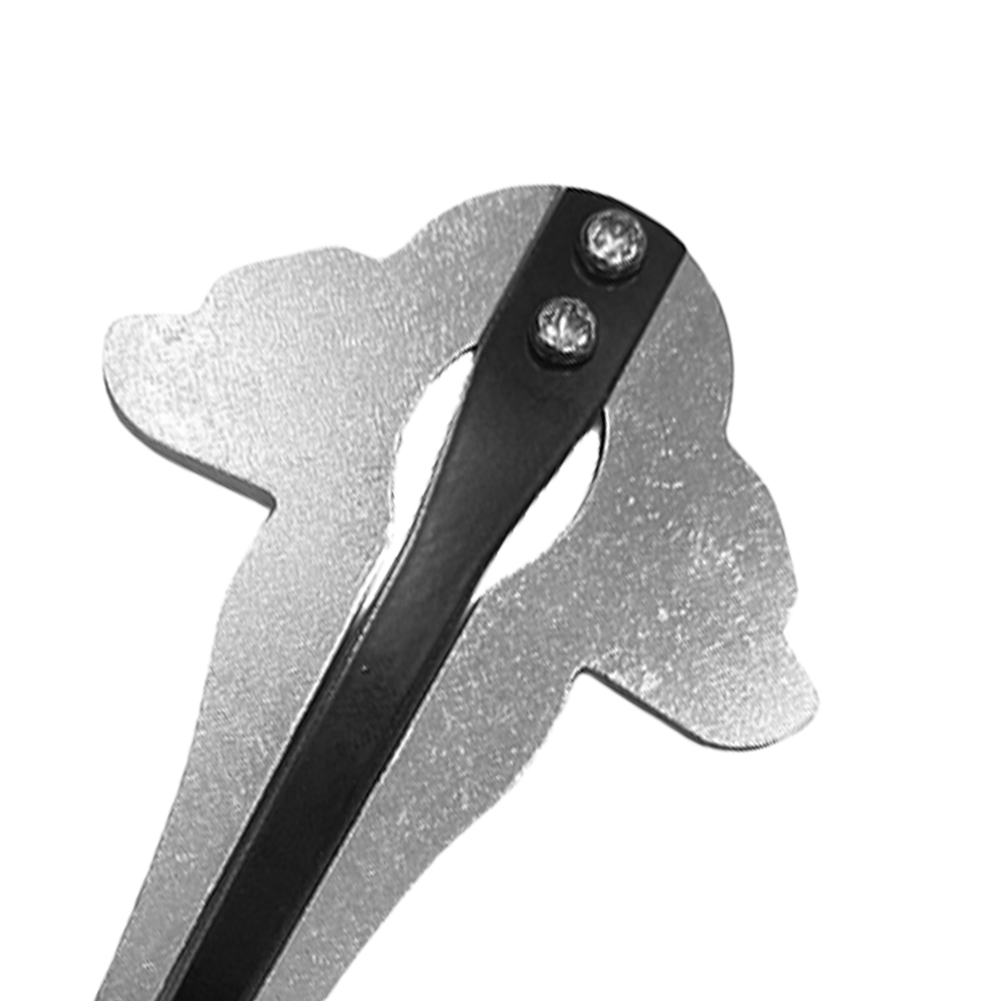 Portable Jaw Harp Chrome Russi - Musical Instrument Harp 评论和价格