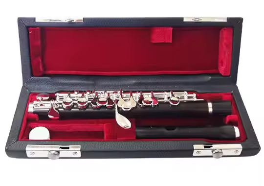 Ebony Piccolo With Silver Plat - Musical Instrument Piccolo 评论和价格