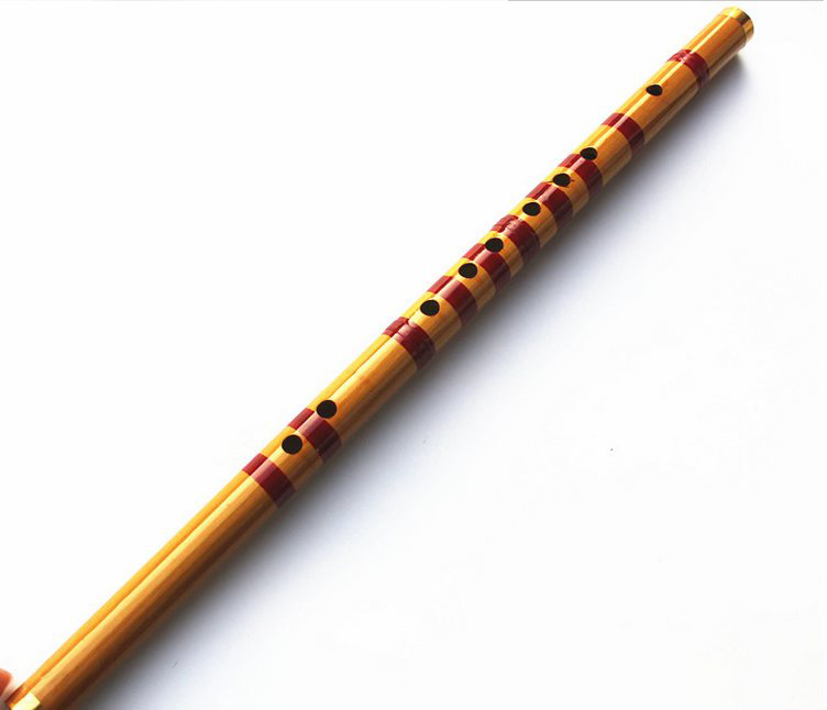 Children Learning Well Designe - Musical Instrument Piccolo 评论和价格