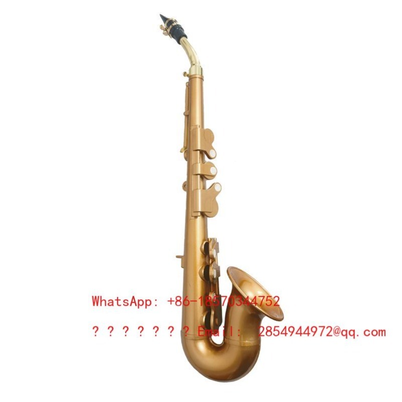 Resin Saxophone Musical Instru - Musical Instrument Easy To Learn For Adults 评论和价格