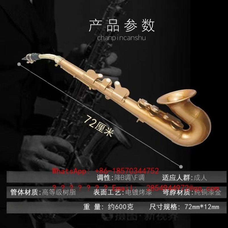 Resin Saxophone Musical Instru - Musical Instrument Easy To Learn For Adults 评论和价格