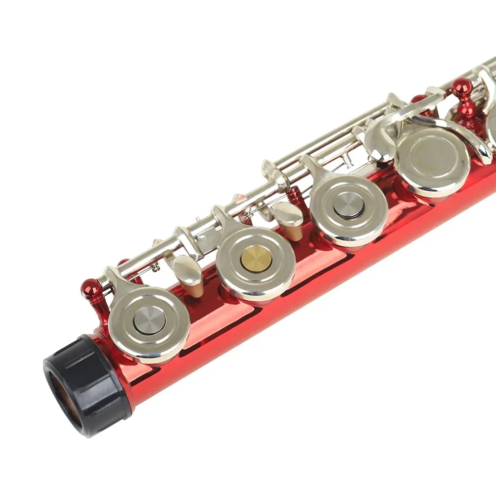 10 Pcs/Set Flute Sound Hole Pl - Musical Instrument Piccolo 评论和价格
