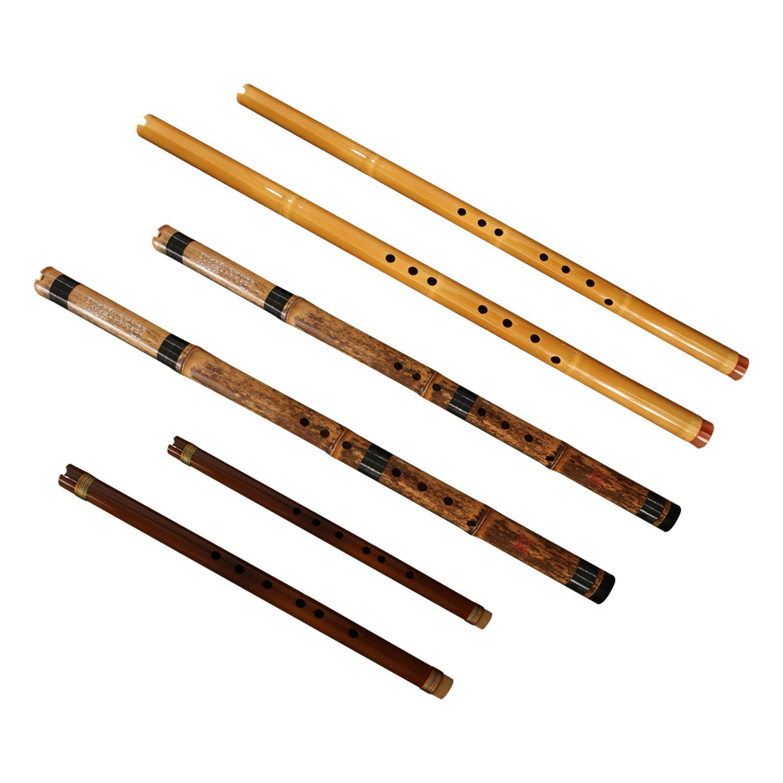 Flute Classic Musical Instrume - Musical Instrument Easy To Learn For Adults 评论和价格