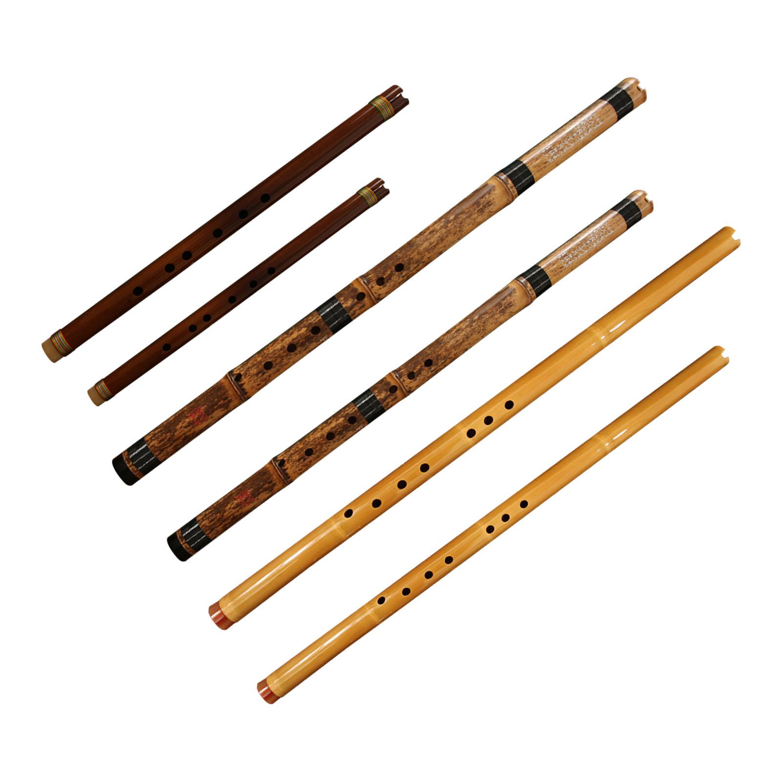 Flute Classic Musical Instrume - Musical Instrument Easy To Learn For Adults 评论和价格